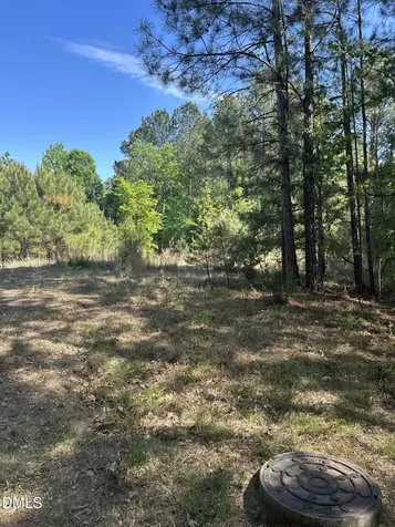 1545 Breeders Hill Drive Drive Wake Forest NC 27587