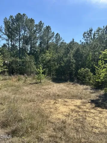 1545 Breeders Hill Drive Drive Wake Forest NC 27587