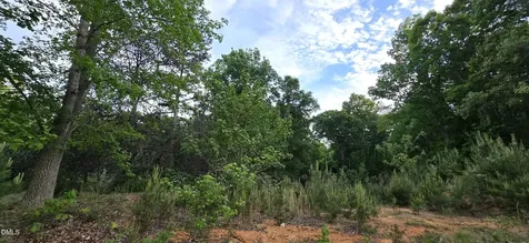 6530 Treetop Snow Camp NC 27349