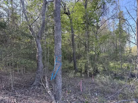 00 S Old Carriage Road Rocky Mount NC 27803