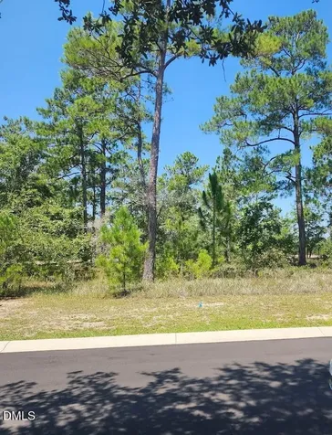 551 Glitter Bay Court Shallotte NC 28470