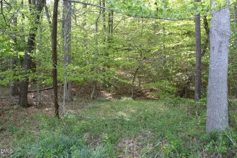 Tbd- Austin Traphill Road Elkin NC 28621