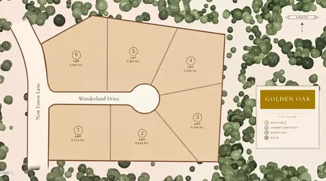 2308 Wonderland Drive Wake Forest NC 27587