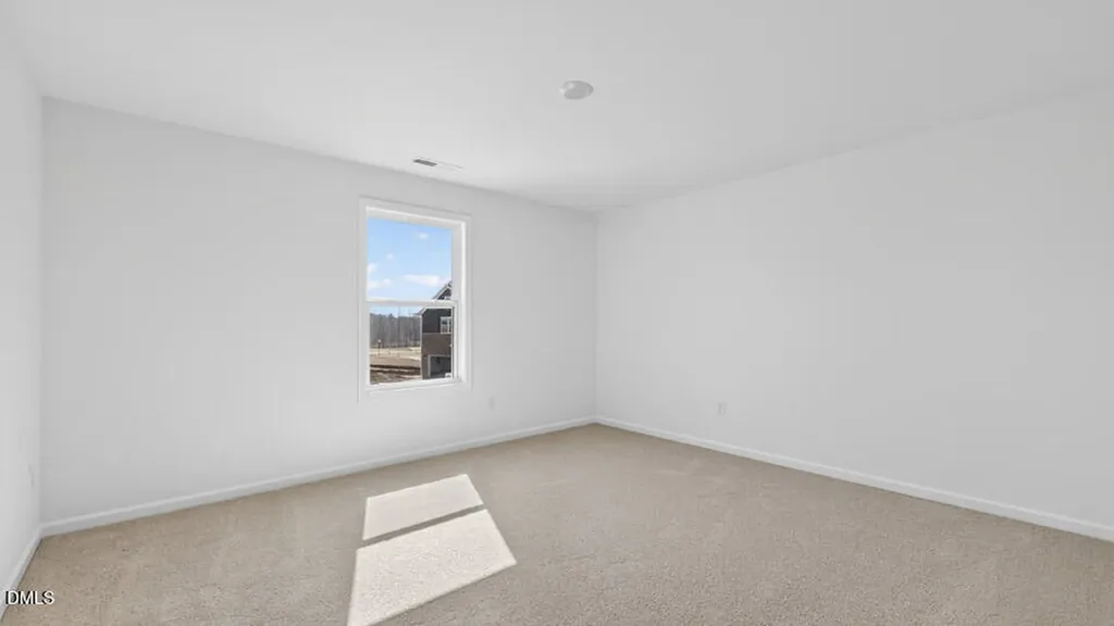 19 East Fire Opal Court Clayton NC 27520