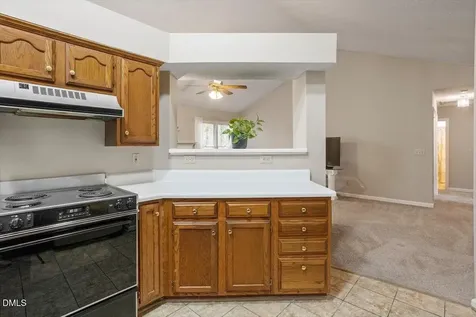 10 Petersburg Place Durham NC 27703