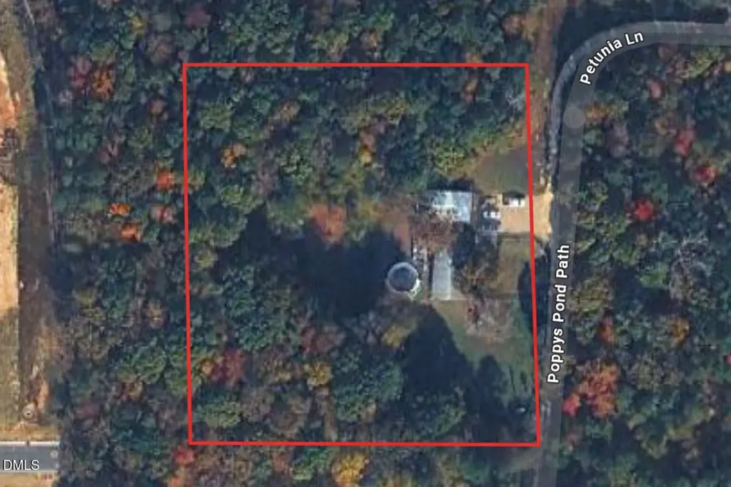 6304 Petunia Lane Wendell NC 27591