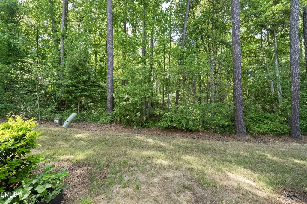 804 Star Ridge Drive Raleigh NC 27610