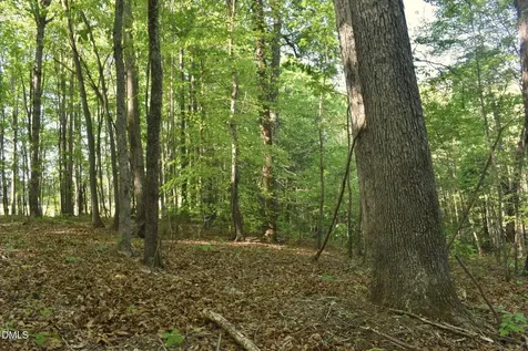 0 Hodges Dairy Road Yanceyville NC 27379