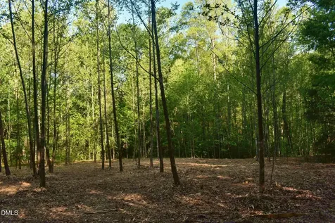 0 Hodges Dairy Road Yanceyville NC 27379