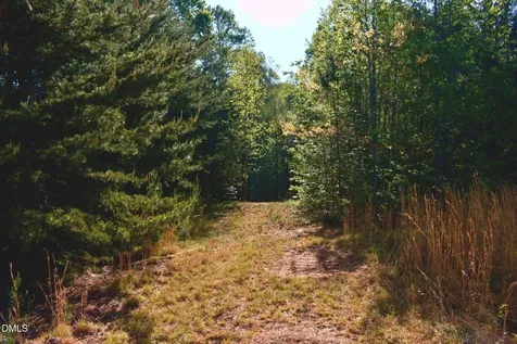 0 Hodges Dairy Road Yanceyville NC 27379