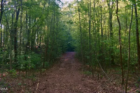0 Hodges Dairy Road Yanceyville NC 27379