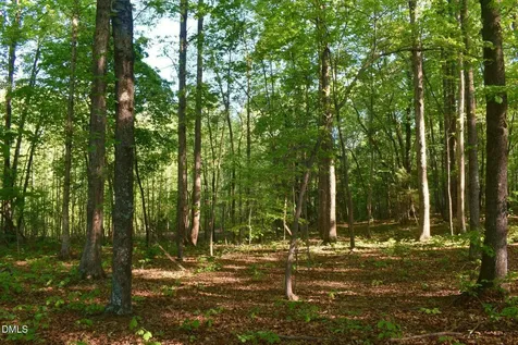 0 Hodges Dairy Road Yanceyville NC 27379
