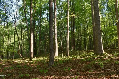 0 Hodges Dairy Road Yanceyville NC 27379