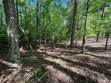 134 Red Dog Drive Louisburg NC 27549
