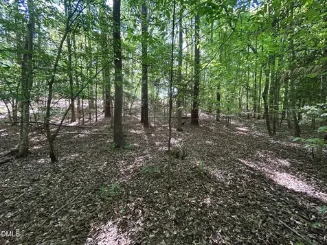 134 Red Dog Drive Louisburg NC 27549
