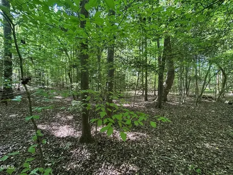 134 Red Dog Drive Louisburg NC 27549