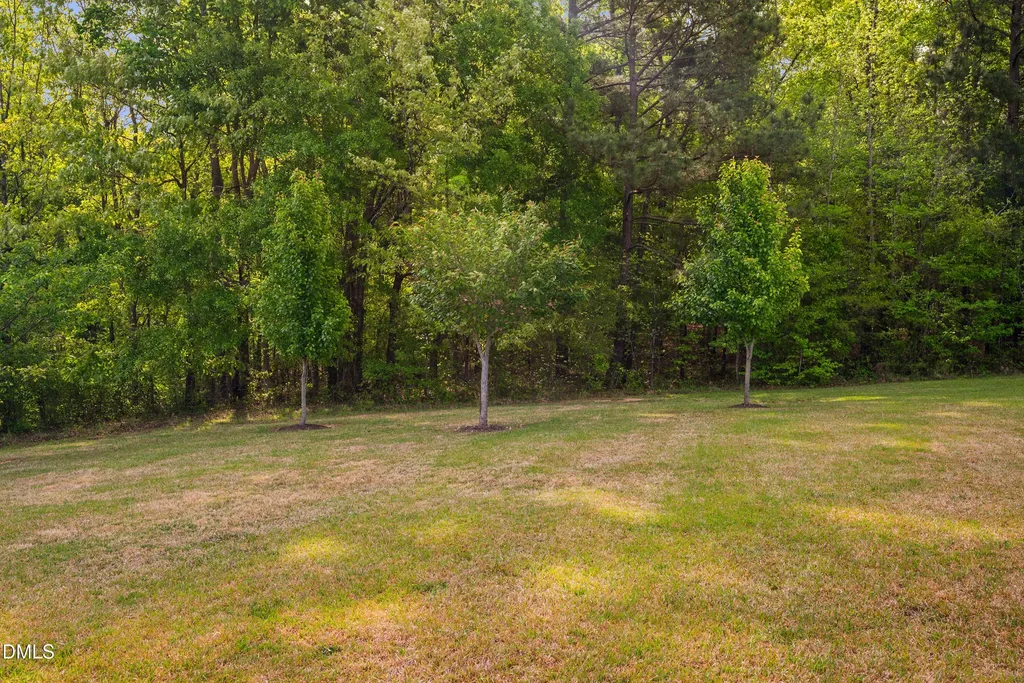 33 Barletta Court Clayton NC 27527