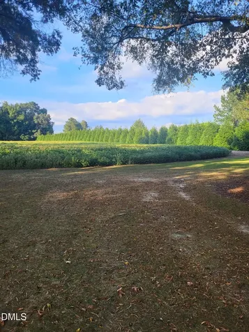 394 King Road Castalia NC 27816
