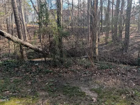 2801 Trailwood Pines Lane Raleigh NC 27603