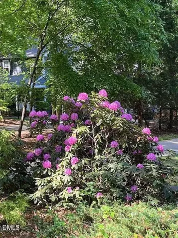 6309 Windy Ridge Court Raleigh NC 27606