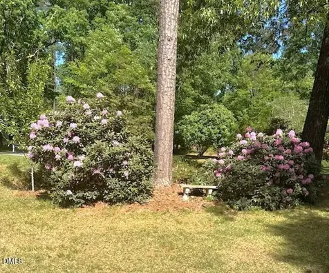 6309 Windy Ridge Court Raleigh NC 27606