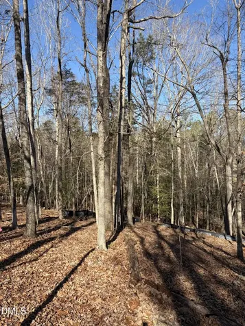 93 Firefly Overlook Pittsboro NC 27312