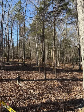 93 Firefly Overlook Pittsboro NC 27312