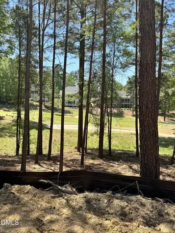 45 Quail Point Pittsboro NC 27312