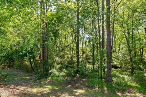 454 Stobhill Lane Holly Springs NC 27540