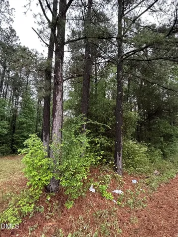 0 W River Road Franklinton NC 27525