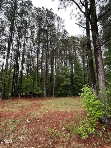 0 W River Road Franklinton NC 27525
