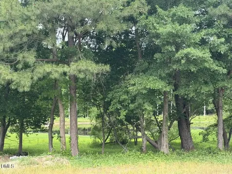 2509 Rosslare Pond Trail Wendell NC 27591