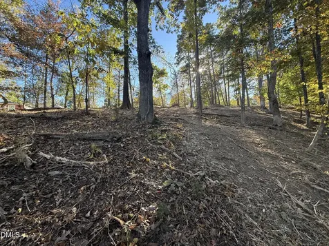 54 (lot #) Pinesborough Estate Road Semora NC 27343