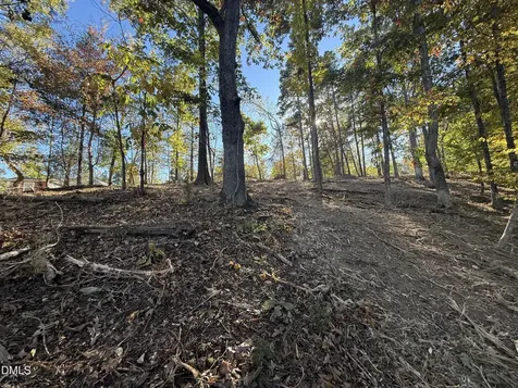 54 (lot #) Pinesborough Estate Road Semora NC 27343
