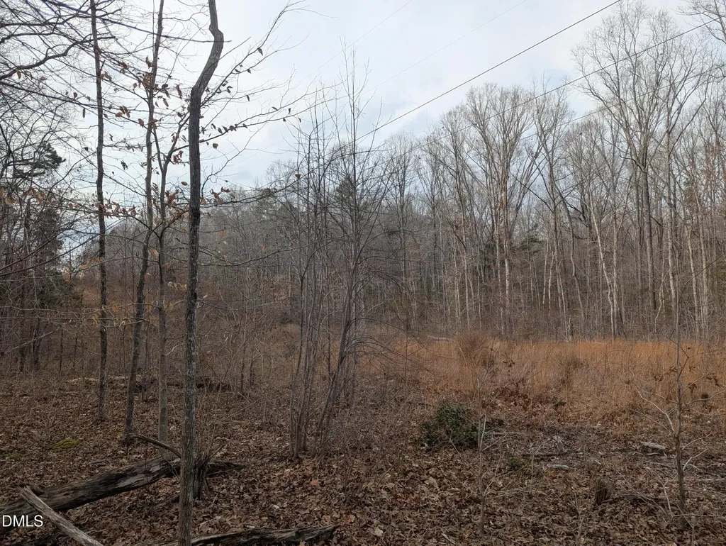 0 Dirgie Mine Road Roxboro NC 27574
