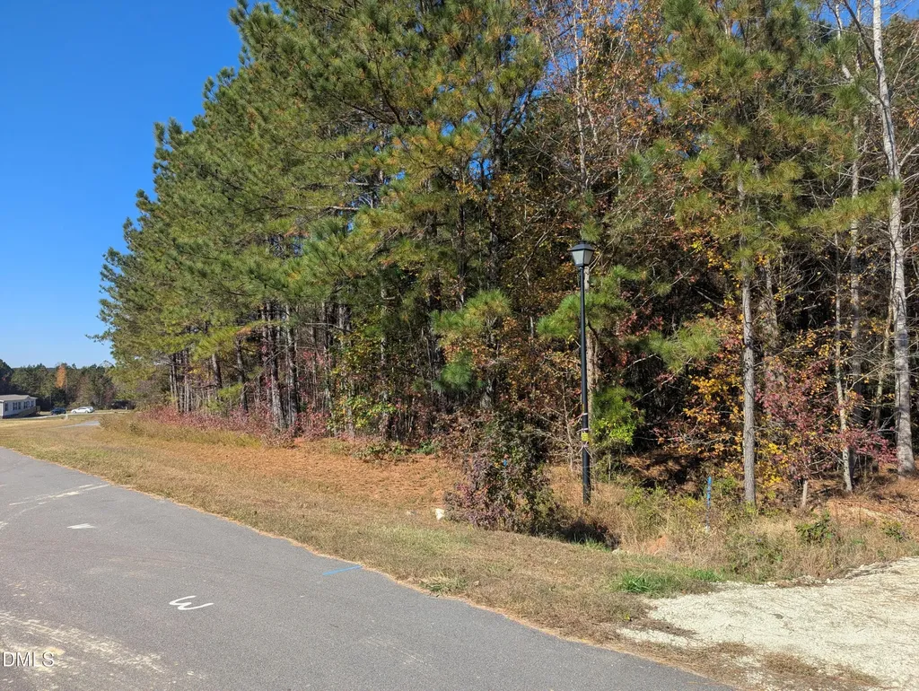 0 Sandy Plains Lane Warrenton NC 27589