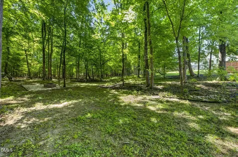 60 Prospectus Lane Franklinton NC 27525