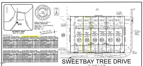 331 Sweetbay Tree Drive Wendell NC 27591