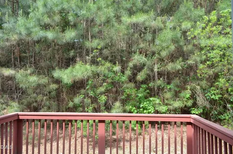 1005 Double Spring Court Apex NC 27502