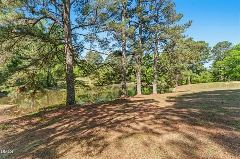 297 Wells Lane Angier NC 27501