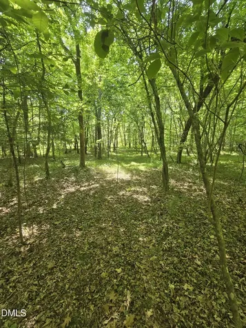 5022 Mount Hermon Rock Creek Road Snow Camp NC 27349