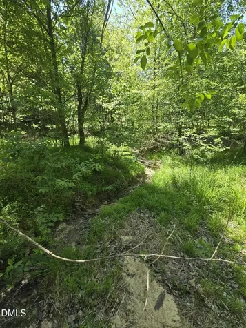 5022 Mount Hermon Rock Creek Road Snow Camp NC 27349