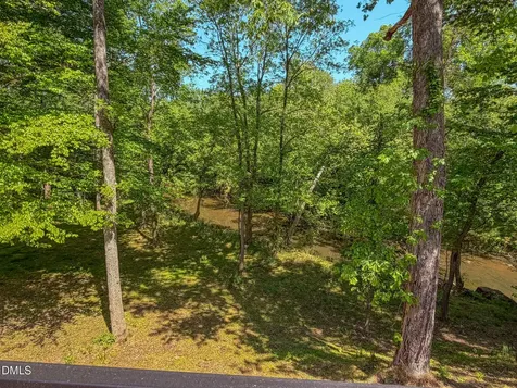600 Cedar Laurel Lane Rougemont NC 27572