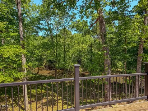 600 Cedar Laurel Lane Rougemont NC 27572