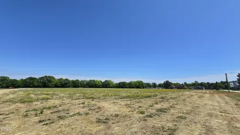Lot 10 Dogeye Road Benson NC 27504
