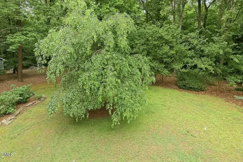 5512 Doemont Drive Apex NC 27539