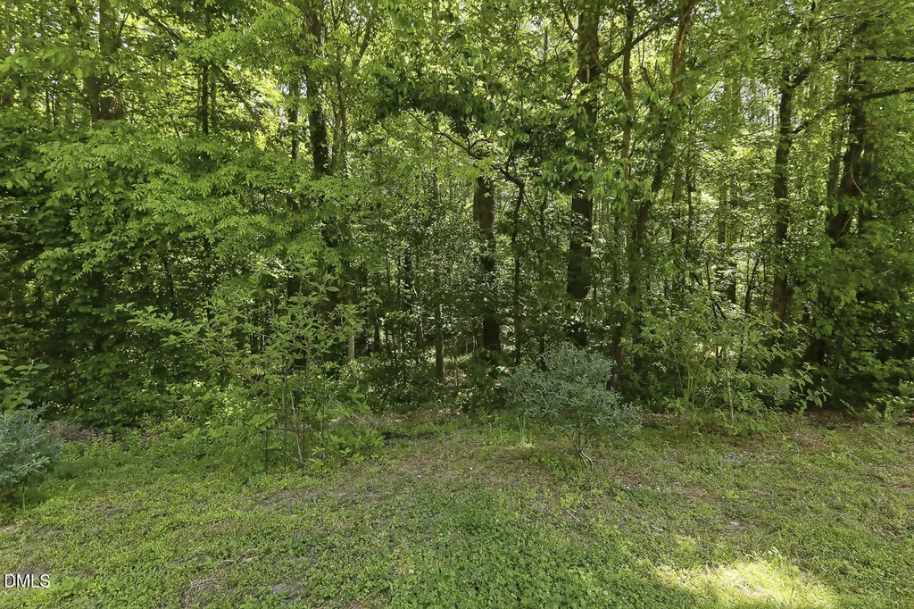 1210 Cranebridge Place Chapel Hill NC 27517