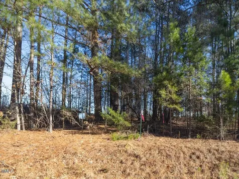 000 Roberts Chapel Road Goldston NC 27252