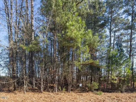 000 Roberts Chapel Road Goldston NC 27252
