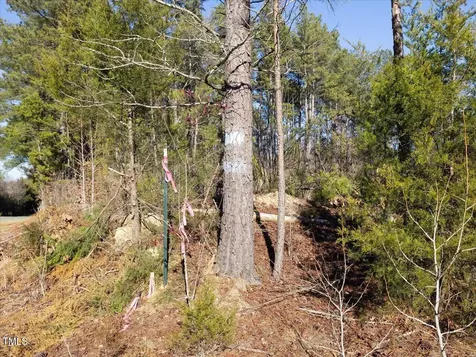 000 Roberts Chapel Road Goldston NC 27252